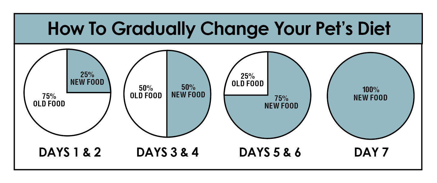 Transition Chart